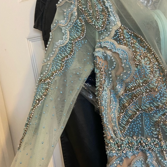 TERANI  COUTURE feathered embroidered Gown - Picture 3 of 11